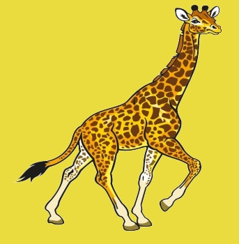 Giraffe Neu